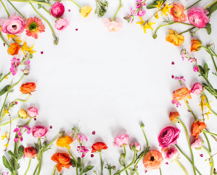 Best Flowers for Spring 2025: Trends & Meaning Behin