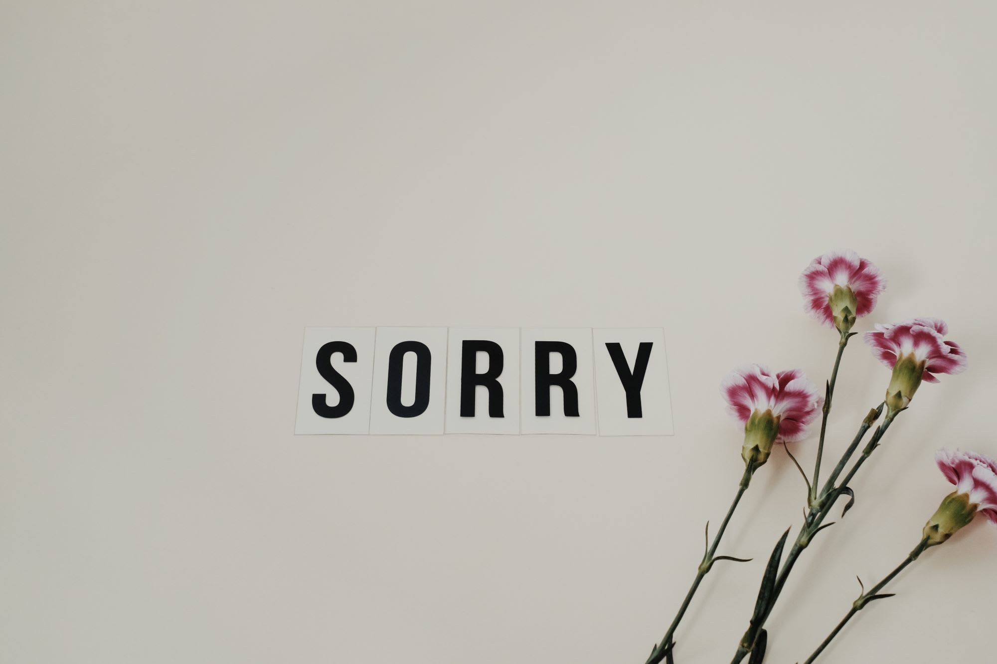 ‘I’m Sorry’ Flowers That Really Say It All