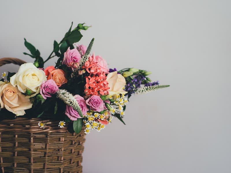 ​Best Flowers for a Hospital Visit in Houston