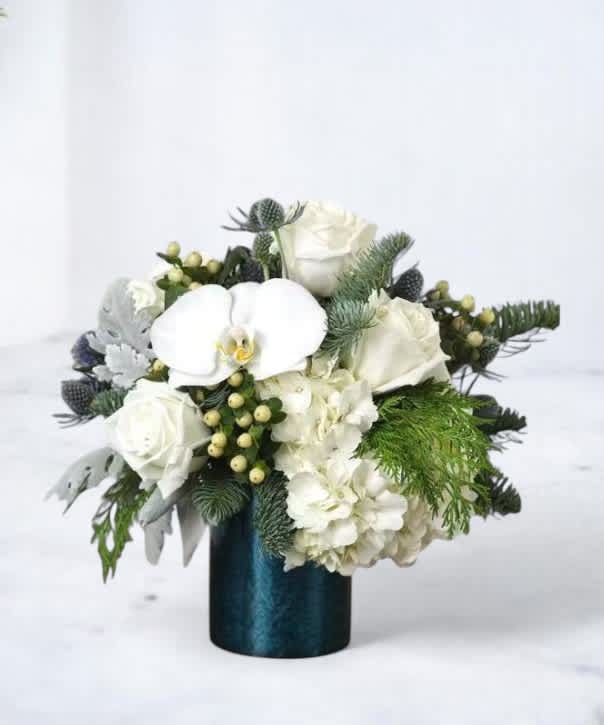 Christmas & Winter Wonderland