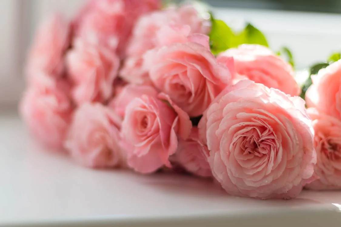 Support Local Florists in El Dorado Hills