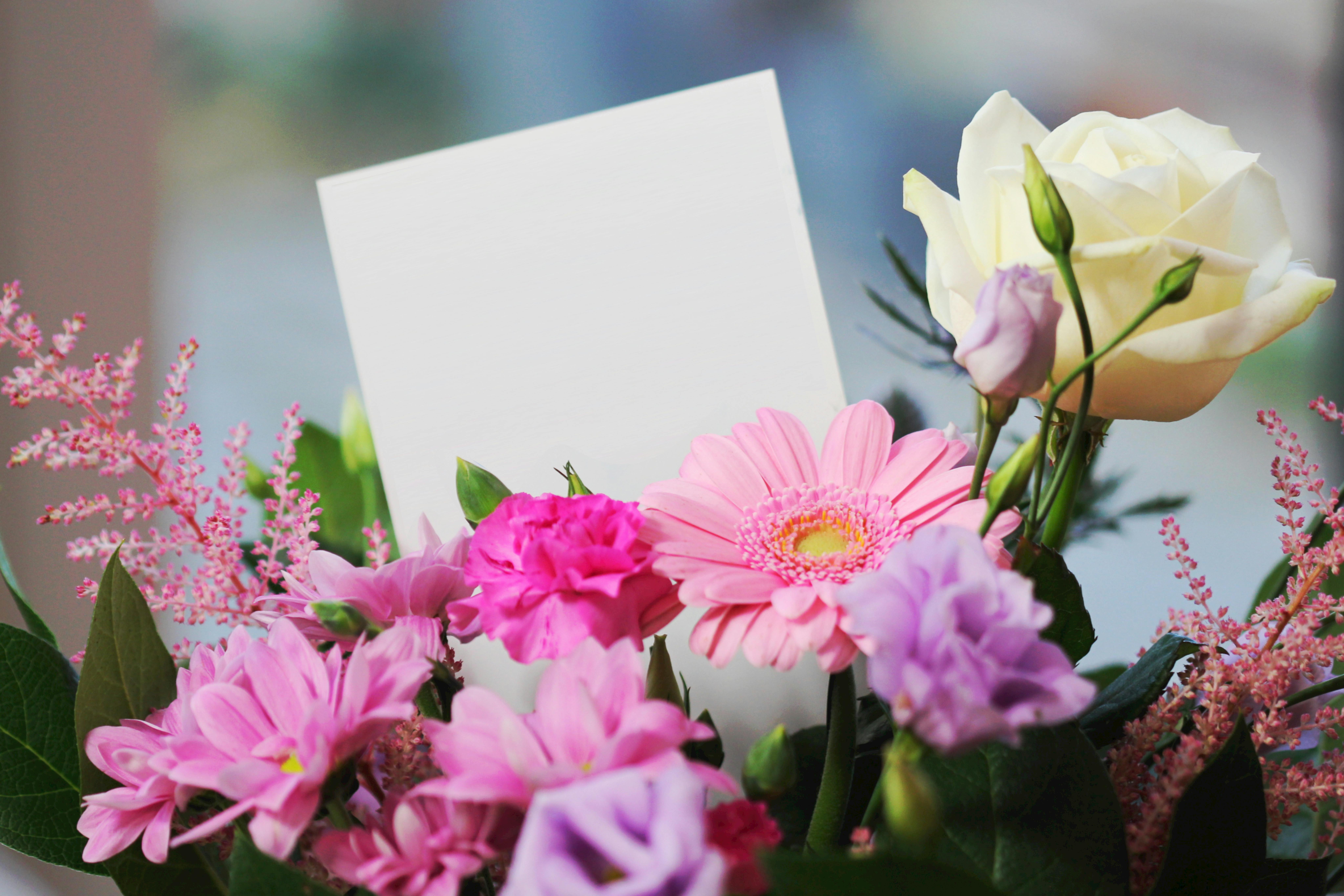 Tips for Prolonging the Life of Your Fresh Flowers
