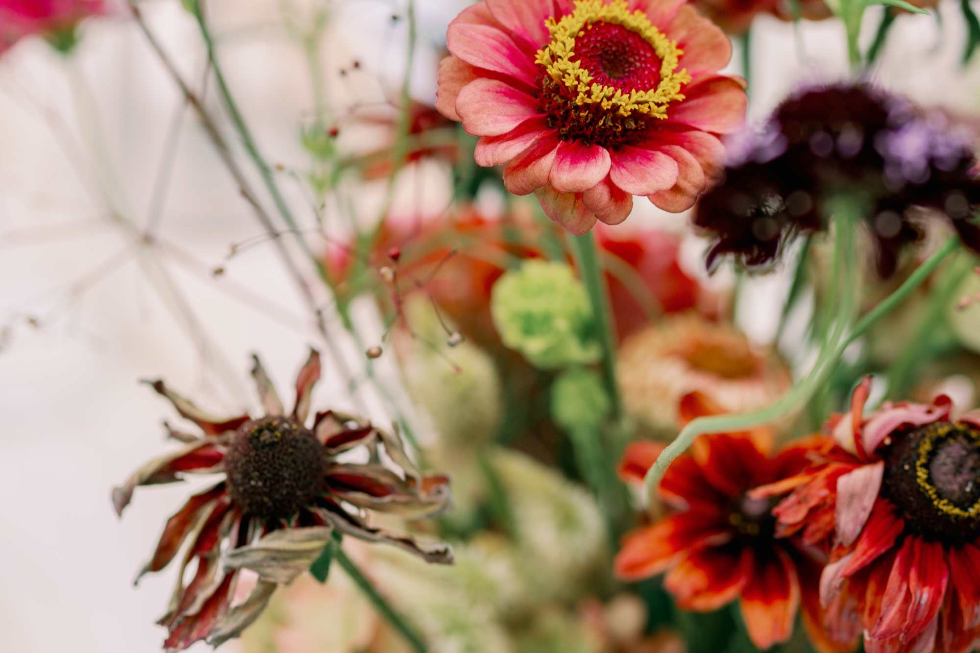 The Many Reasons People Send Flowers