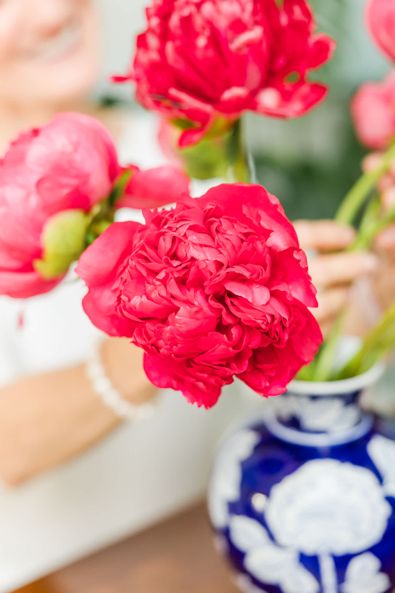 The Journey of Growing Flowers:From Seed to Keepsake