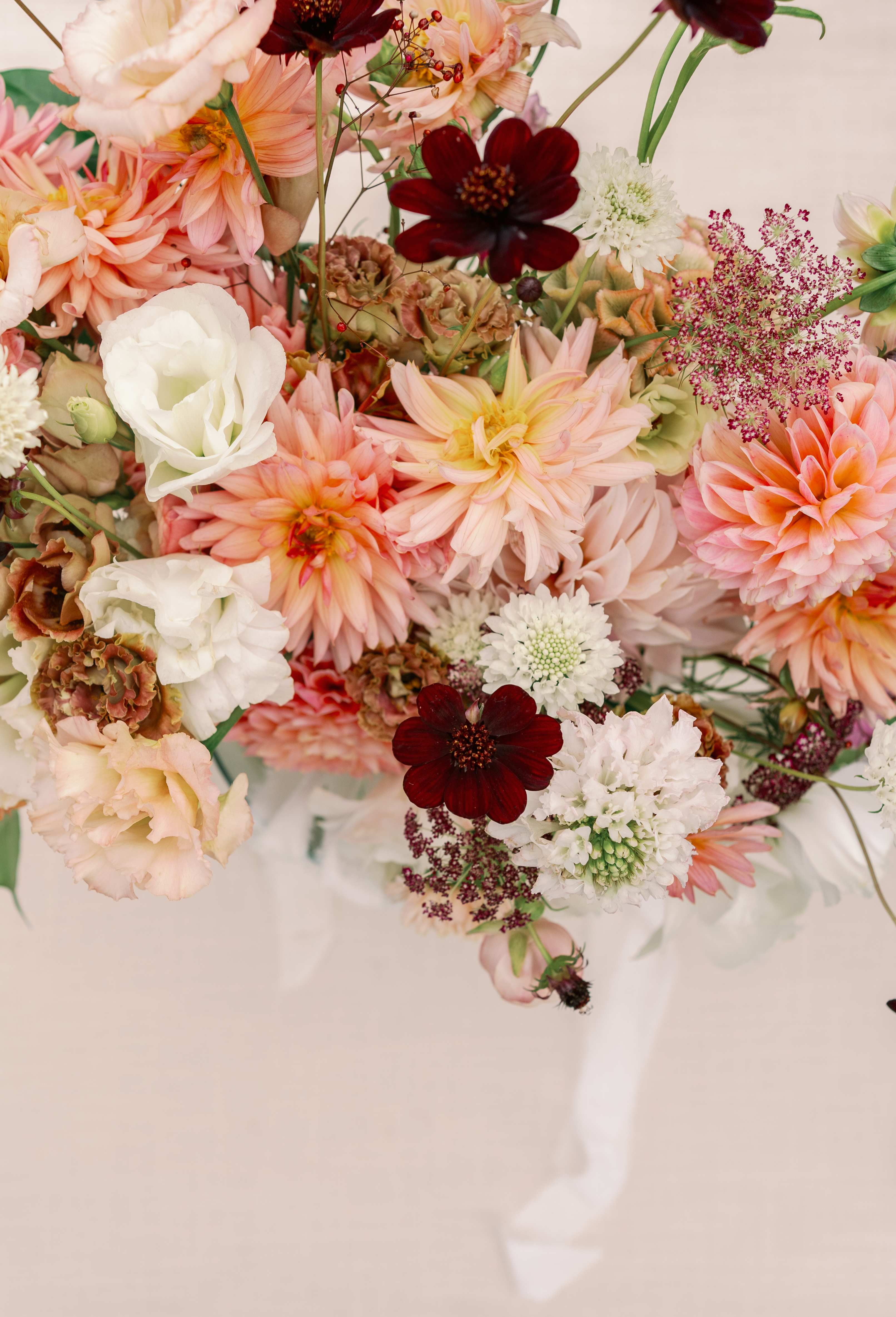 Behind the Blooms: Our Flower Care Journey