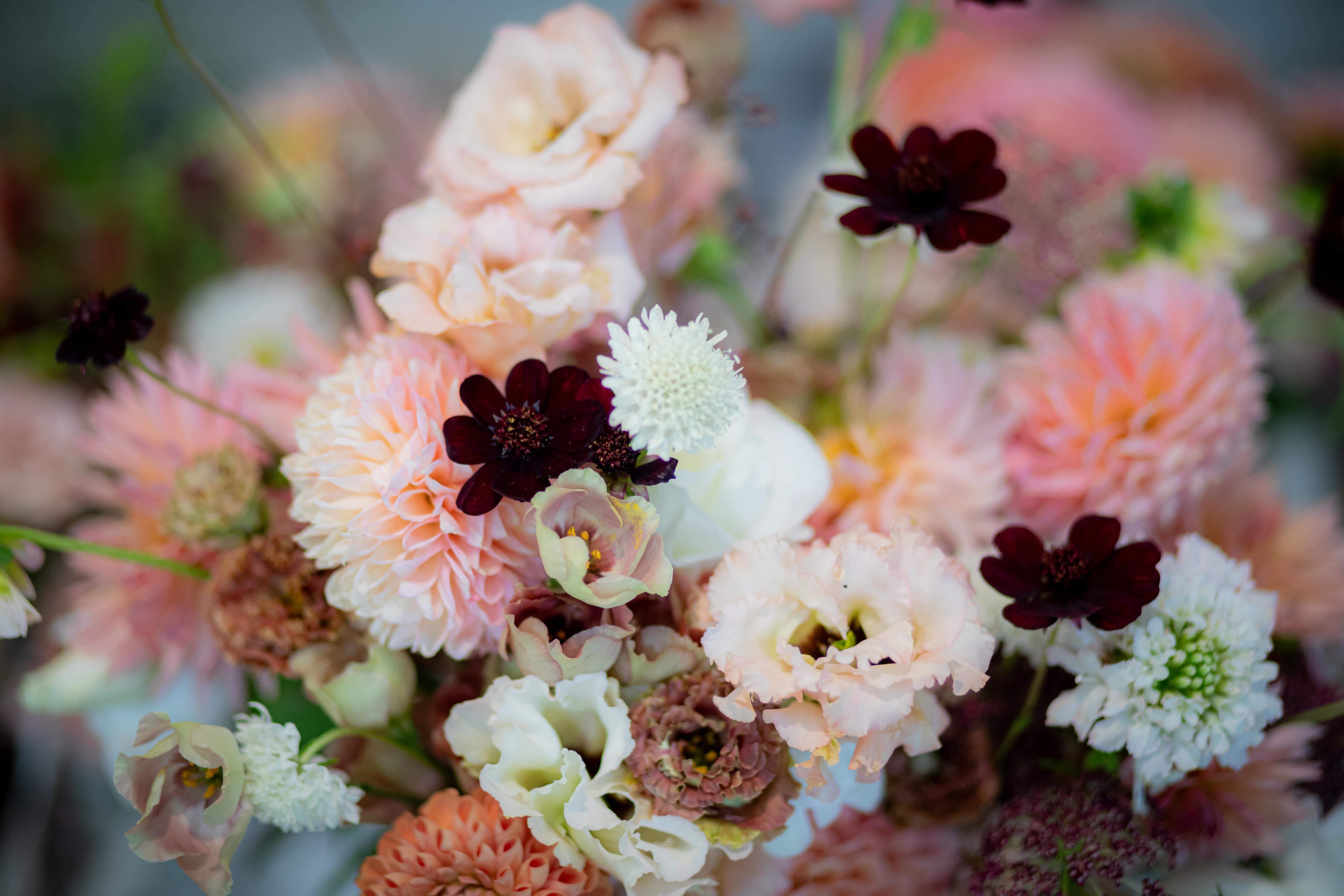 Growing New Plants from Cuttings: A Complete Guide