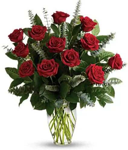 Roses - A Timeless Symbol of Love and Beauty