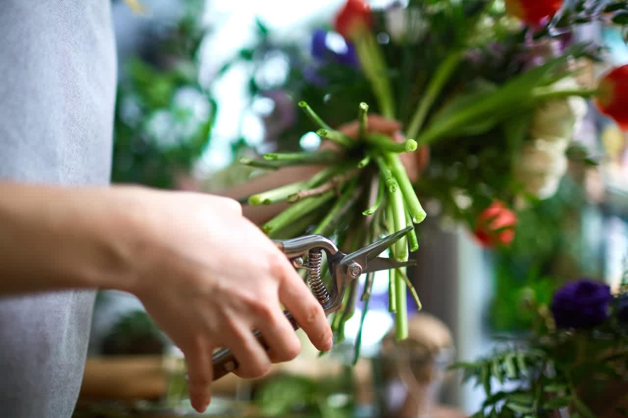 How to Care for Your Cut Flowers