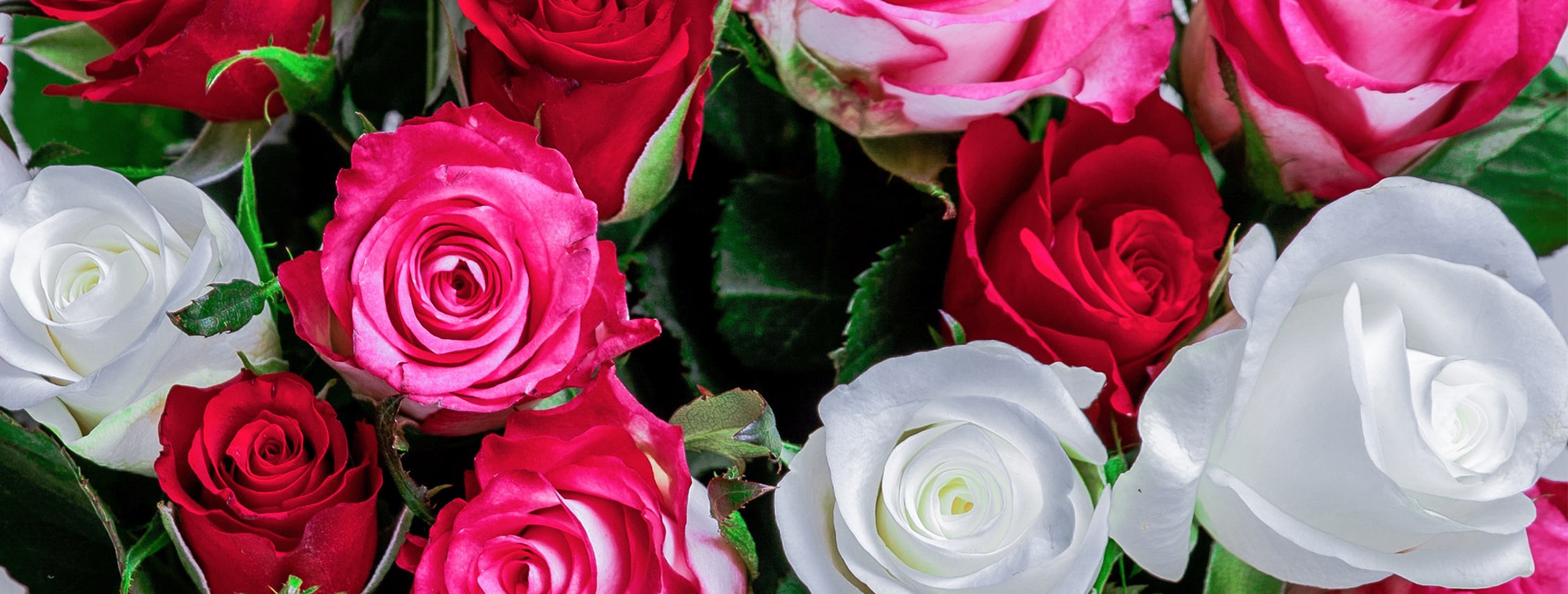 Charleston Florist Flower Delivery by The Flower Cottage, Inc.