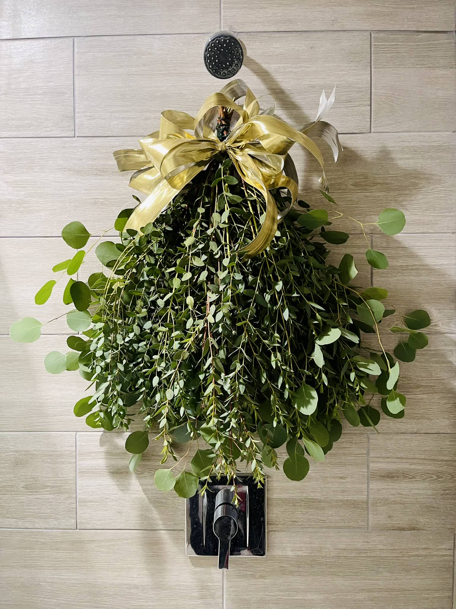 Embrace Wellness and Beauty with Eucalyptus! 