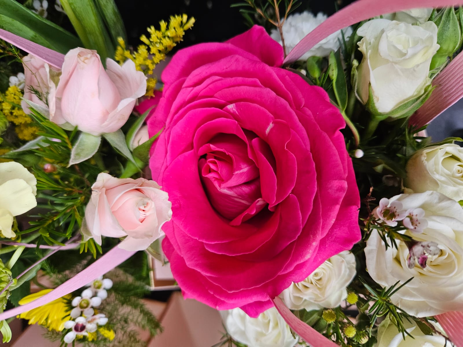 Exploring the Psychology of Mexico Pink