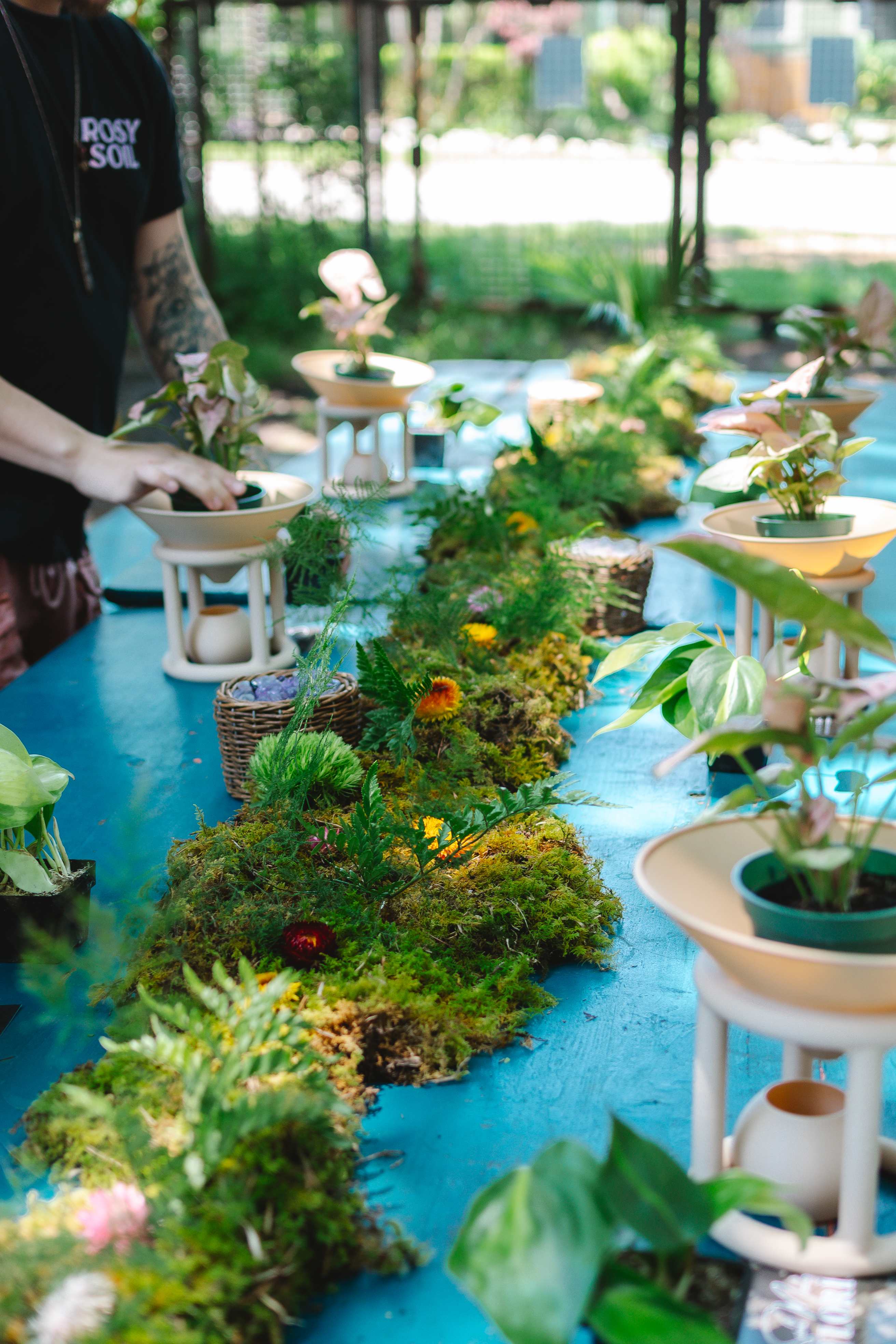 Sip 'N Soil With Rosy Soil: Plant Class