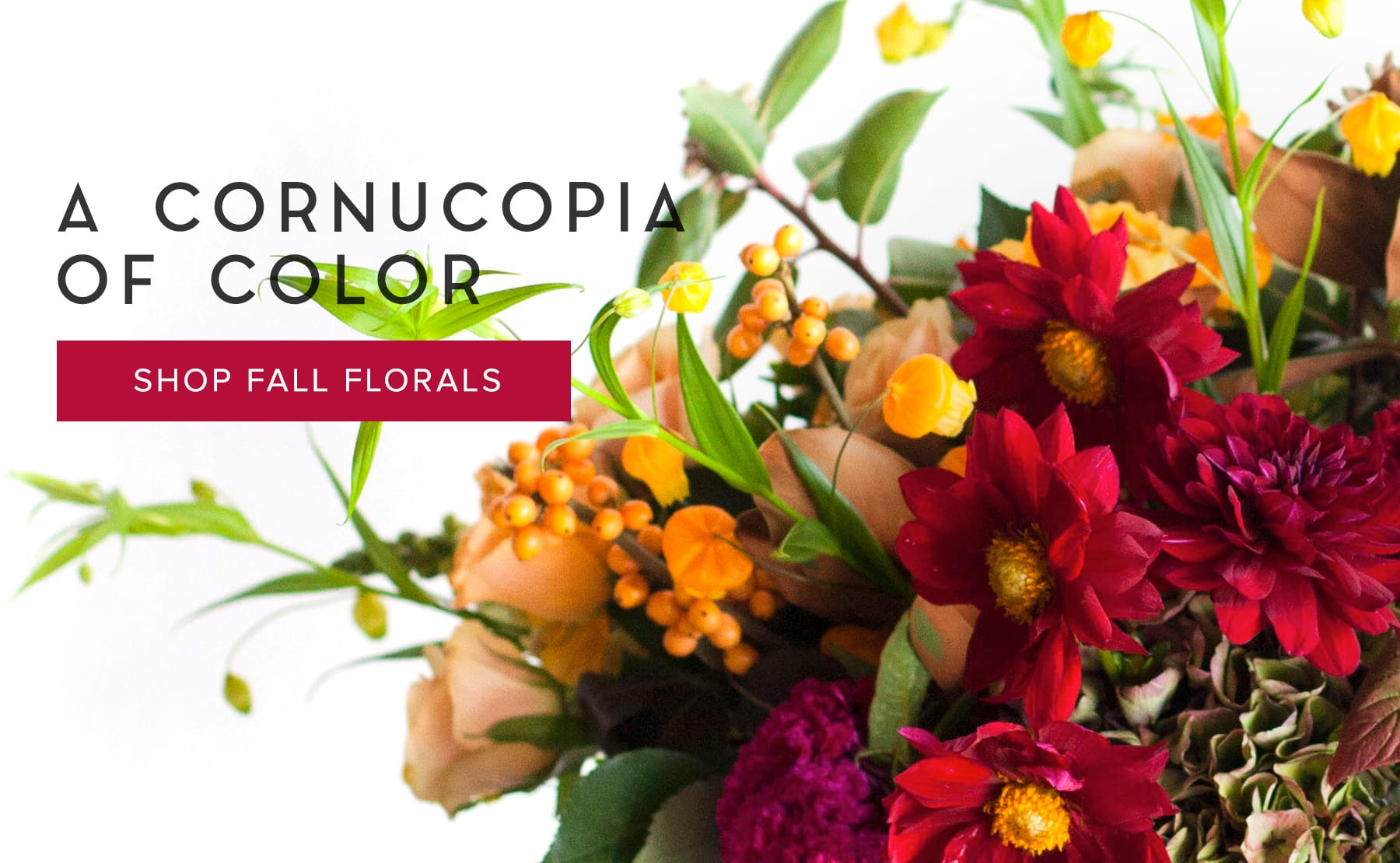 Albuquerque Flower Delivery Flower Delivery by Flowers by ZachLow