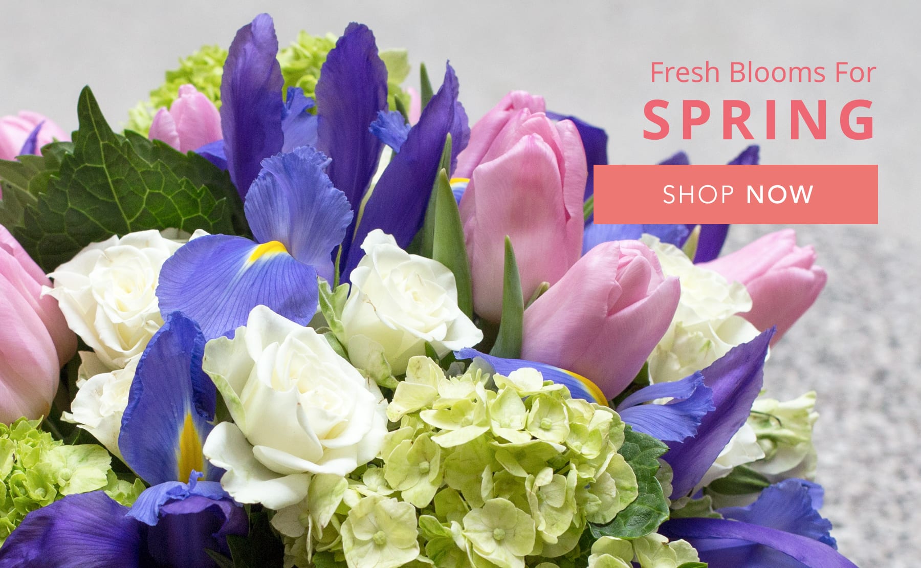 Katy Florist Flower Delivery by Penny Black Flowers & Gifts