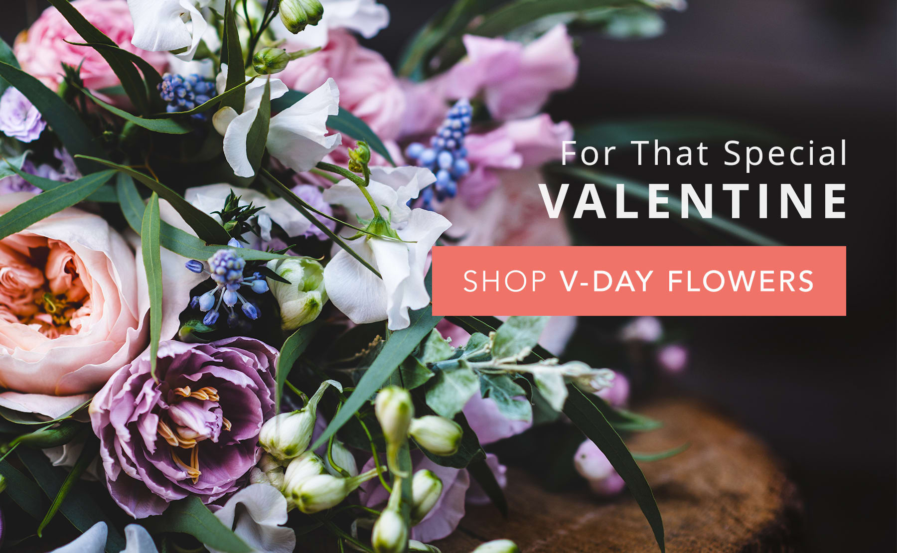 Newton Florist Flower Delivery by Busy Bee Flowers