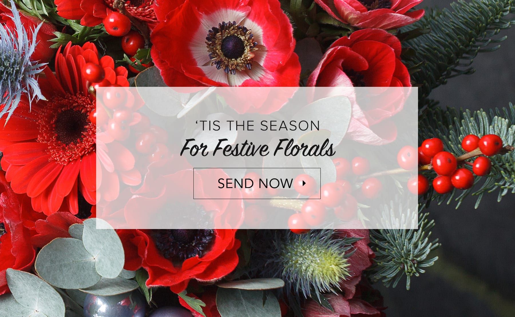 Southampton Florist Flower Delivery by Dutch Petals Inc