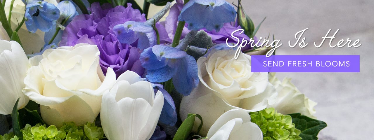 Fairfax Florist - Flower Delivery By Greensleeves Florist