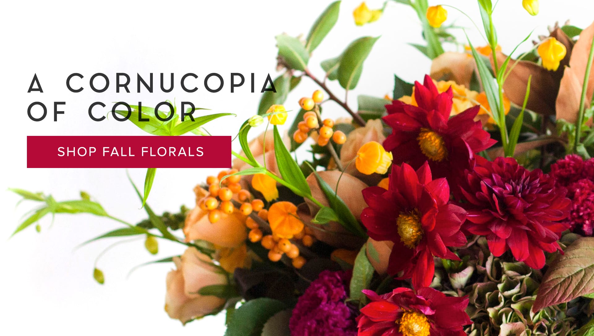 Glasgow Florist Flower Delivery by Paisley Bowtique & Floral Design