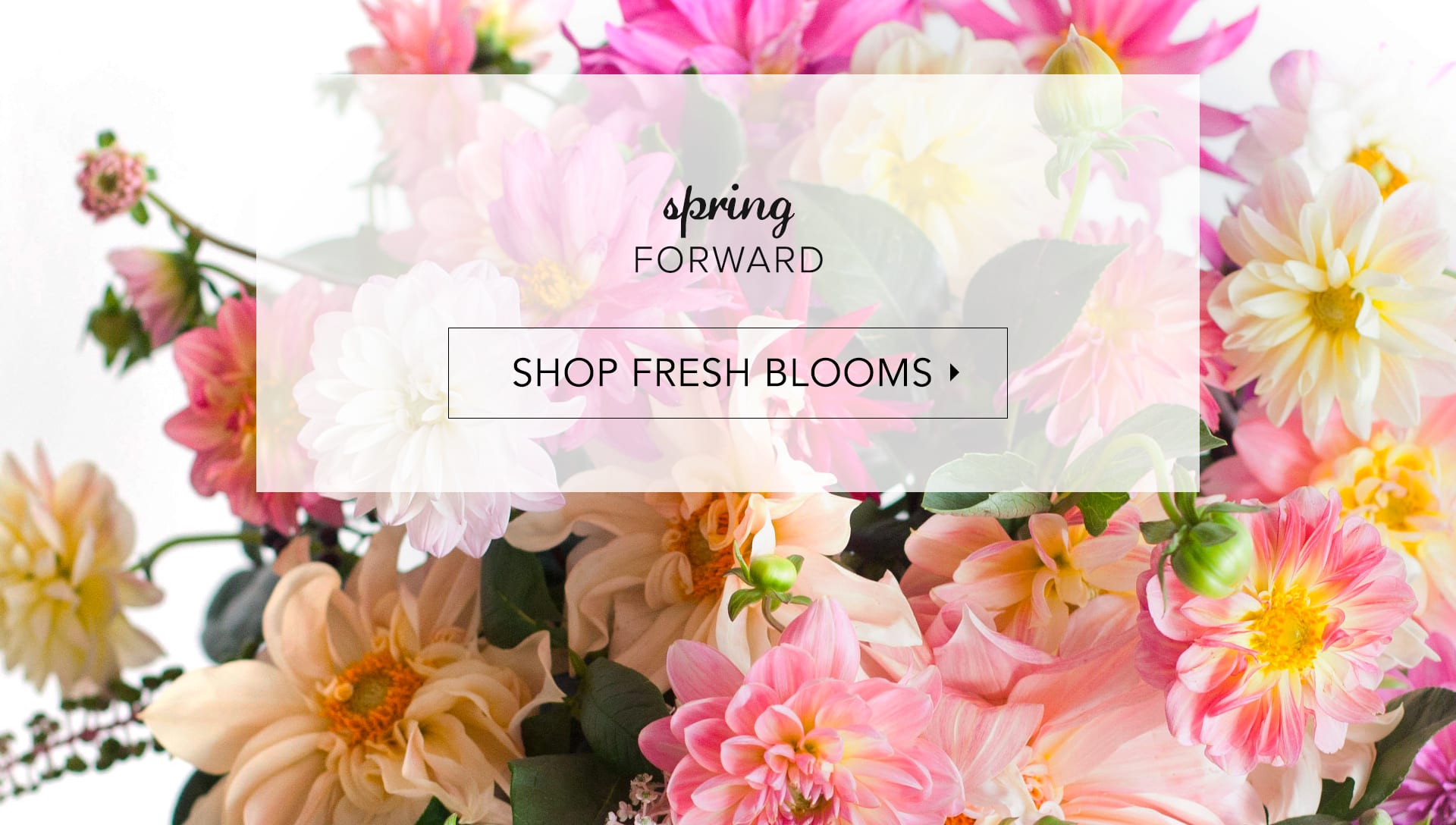 Livingston Florist Flower Delivery by Scarlett Blooms