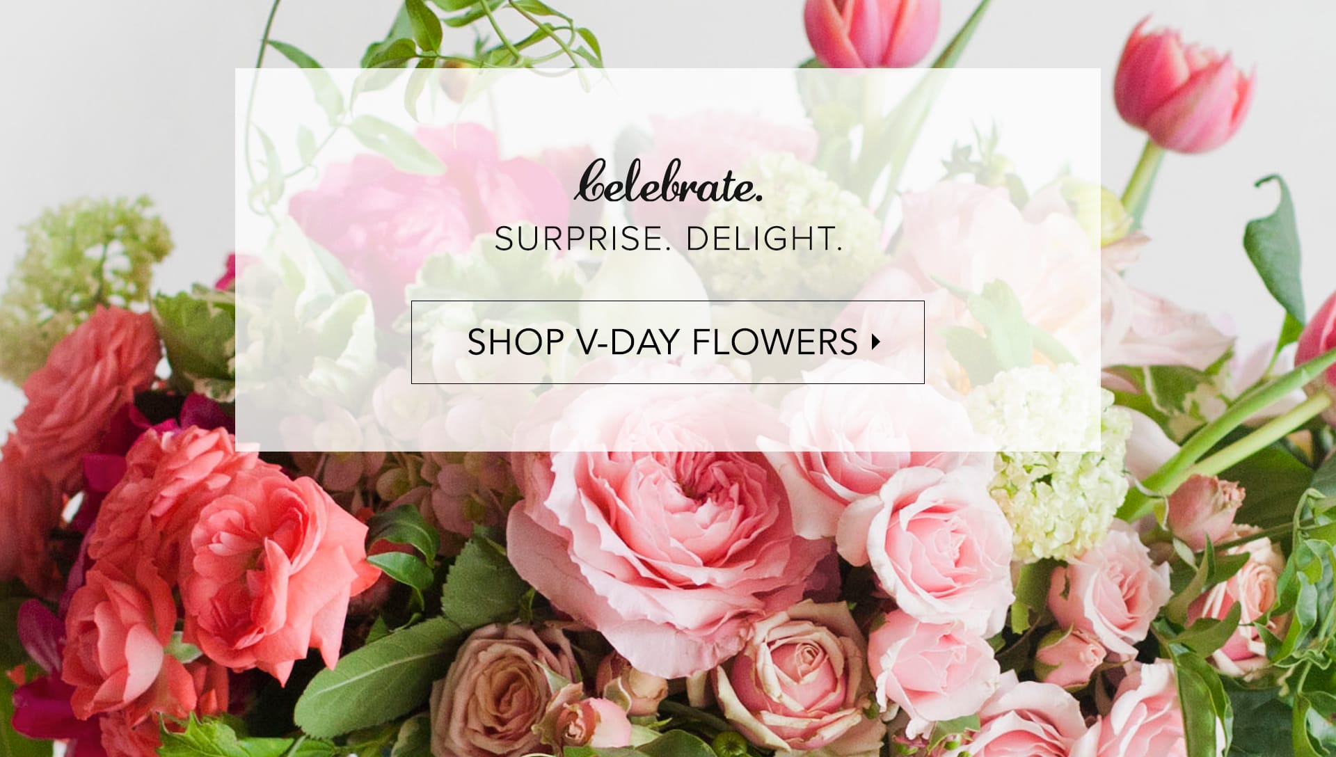 Leicester Florist Flower Delivery by Stargazers Designs