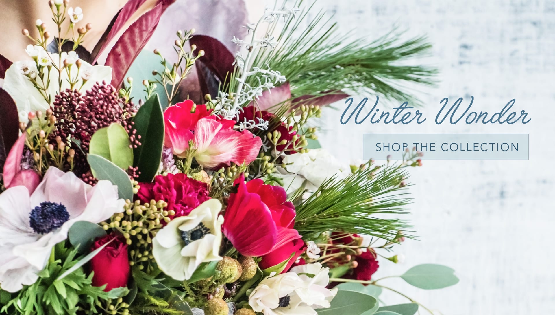 Denver Florist Flower Delivery by The Twisted Tulip