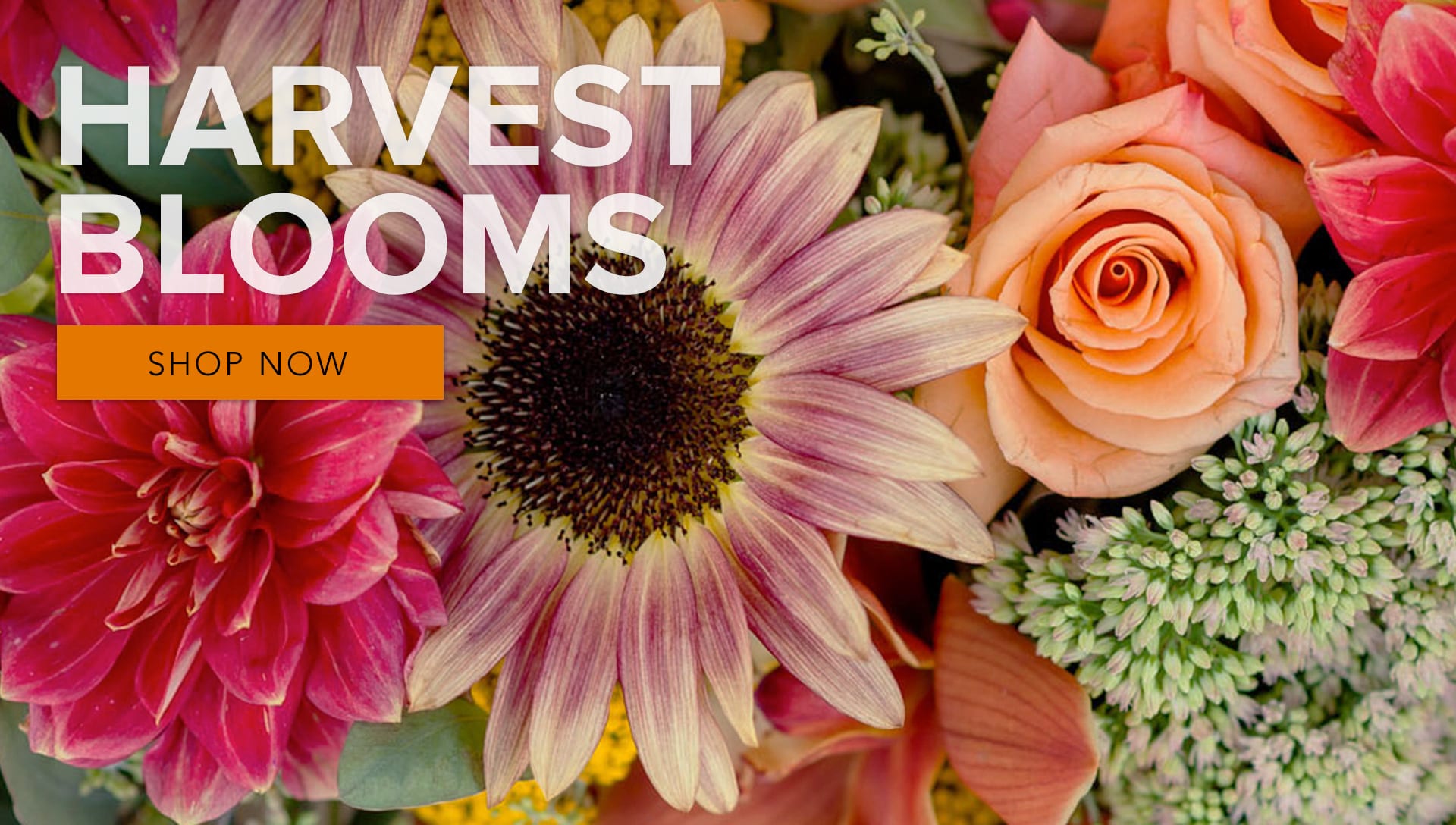 Leicester Florist Flower Delivery by Stargazers Designs