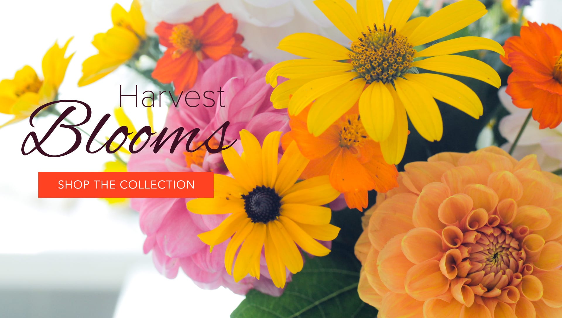 Greensburg Florist | Flower Delivery by Expressions Florist and Greenhouses