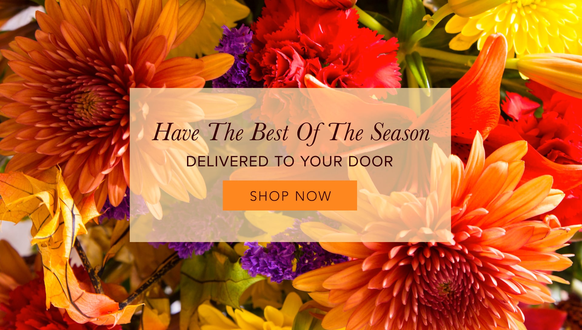 Melville Florist Flower Delivery by Black Dahlia