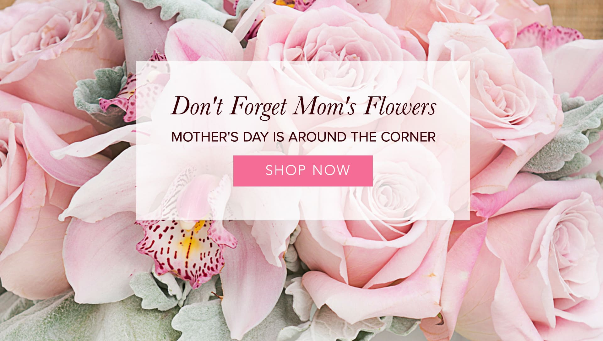 Calabasas Florist Flower Delivery by The Flowers
