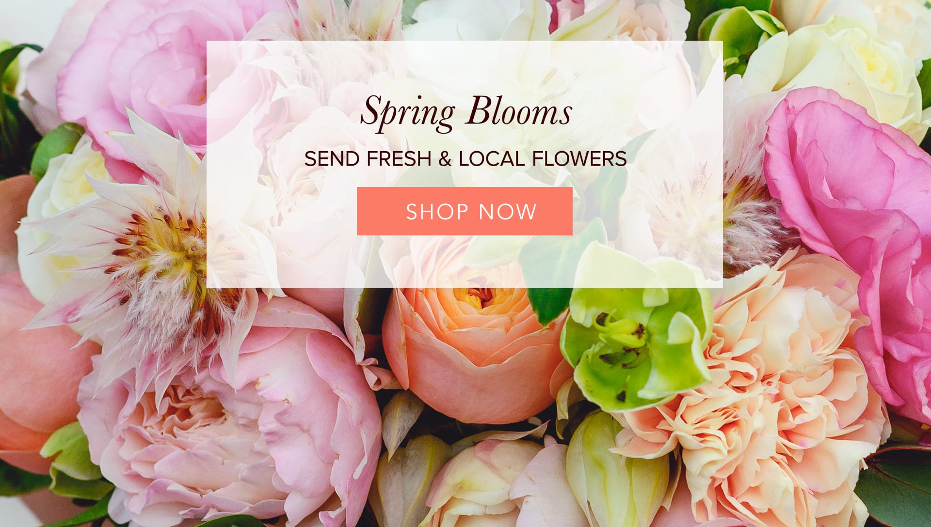 NEW CASTLE Florist Flower Delivery by Butterfly Wish Bouquets