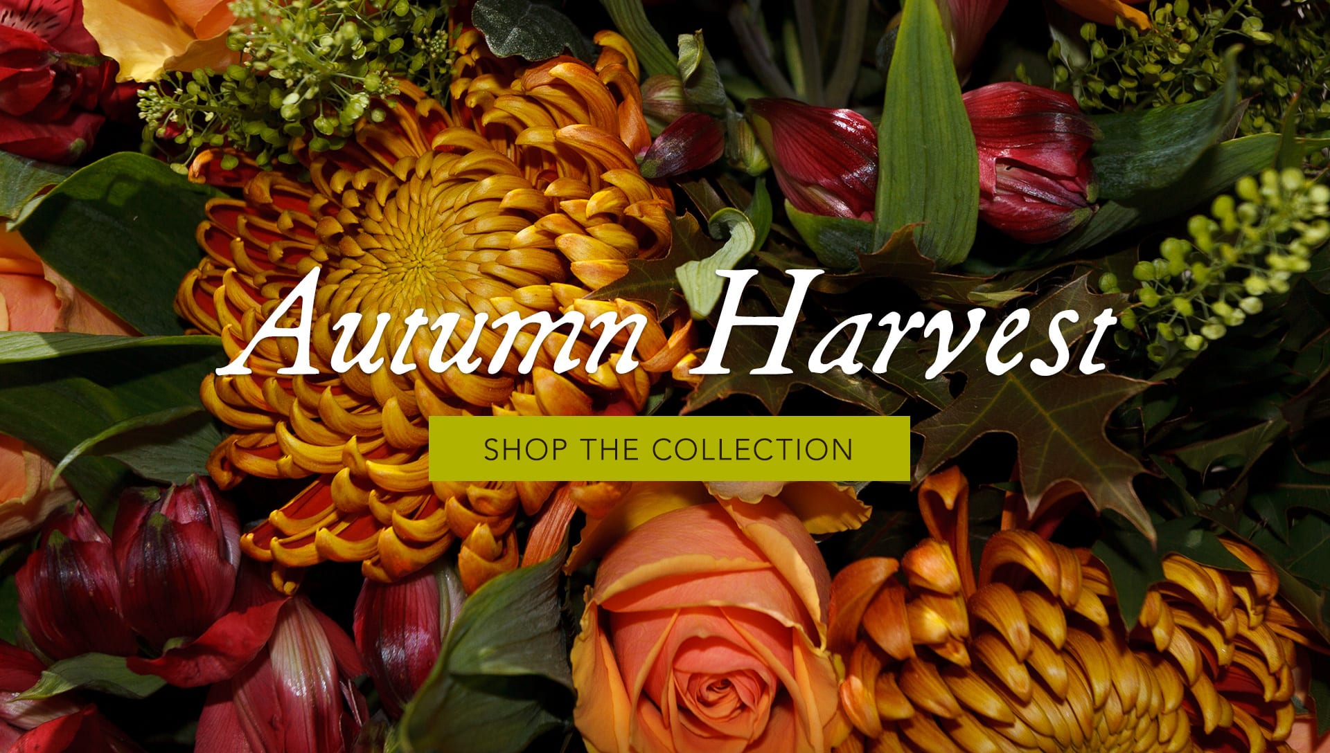 Glendale Florist Flower Delivery by Glendale Florist