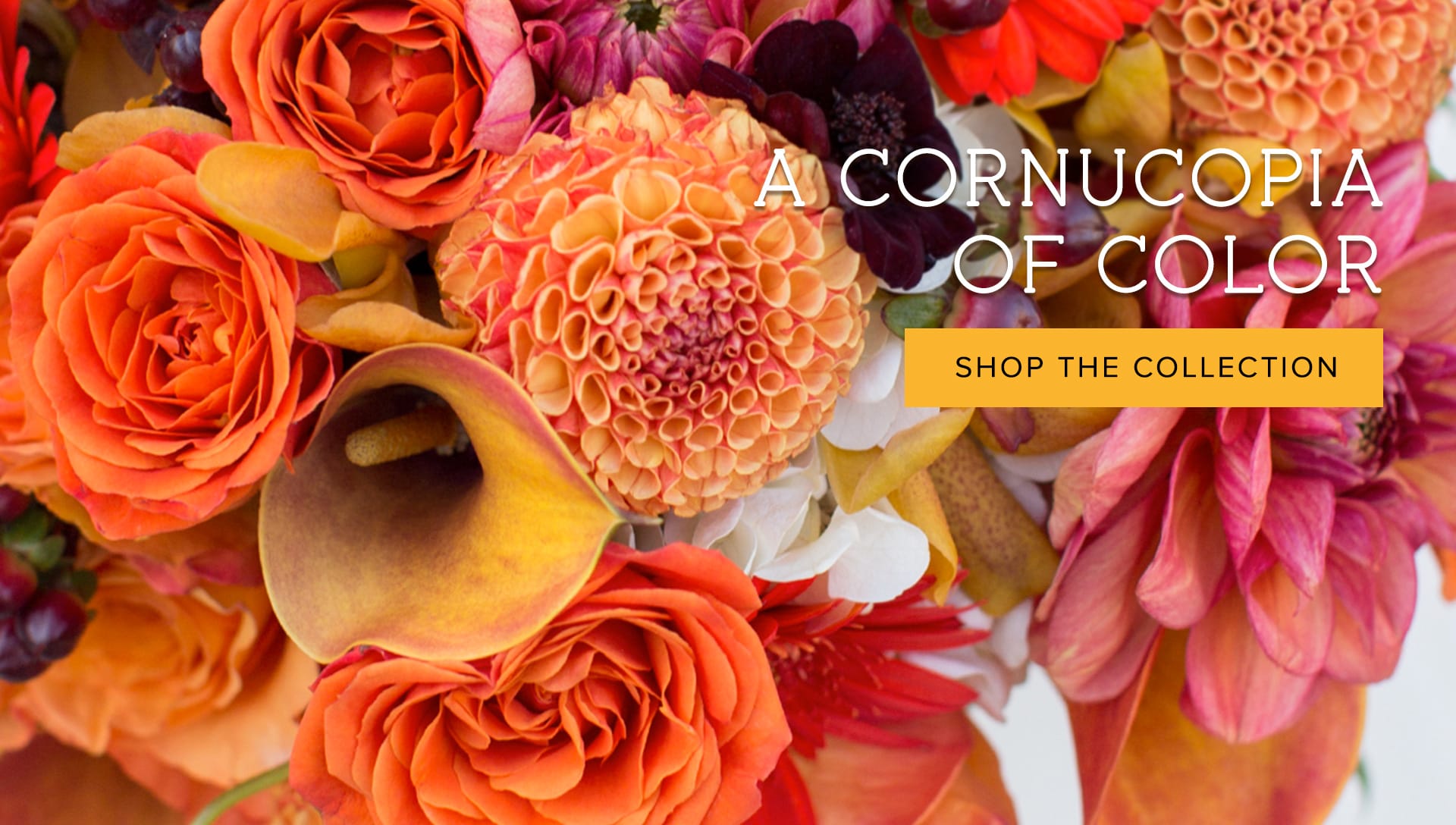 La Plata Florist Flower Delivery by Gateway Florist