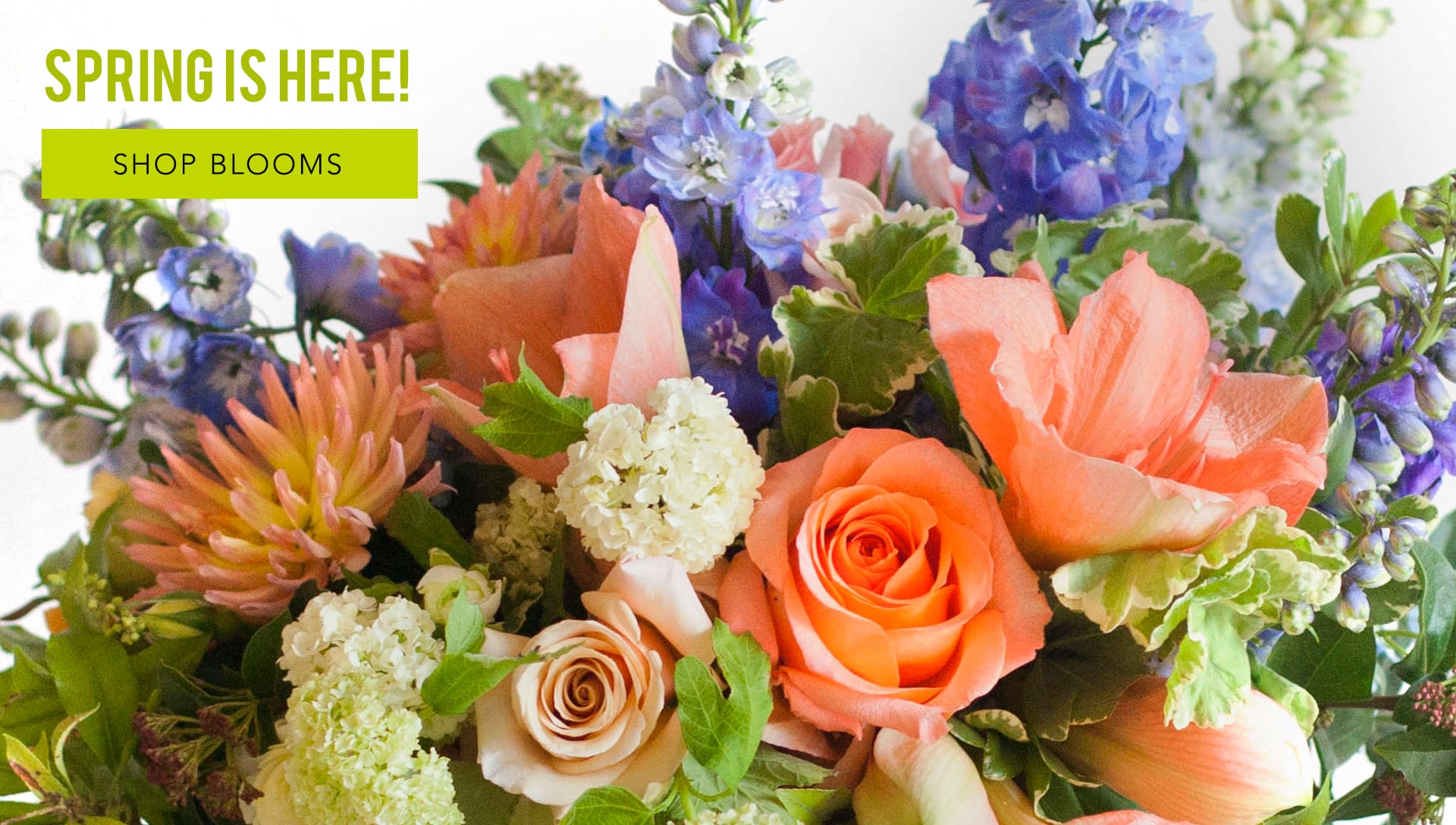 Irvine Florist Flower Delivery by Irvine Florist Marketplace