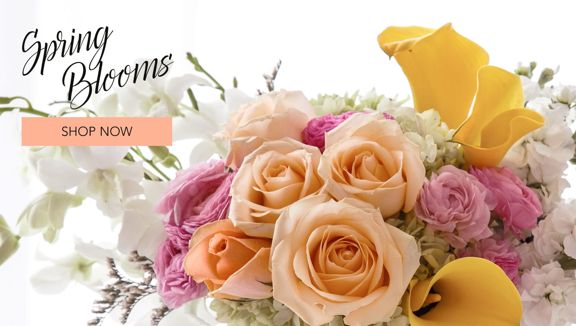Montclair Florist Flower Delivery by Montclair Flowers and Gifts