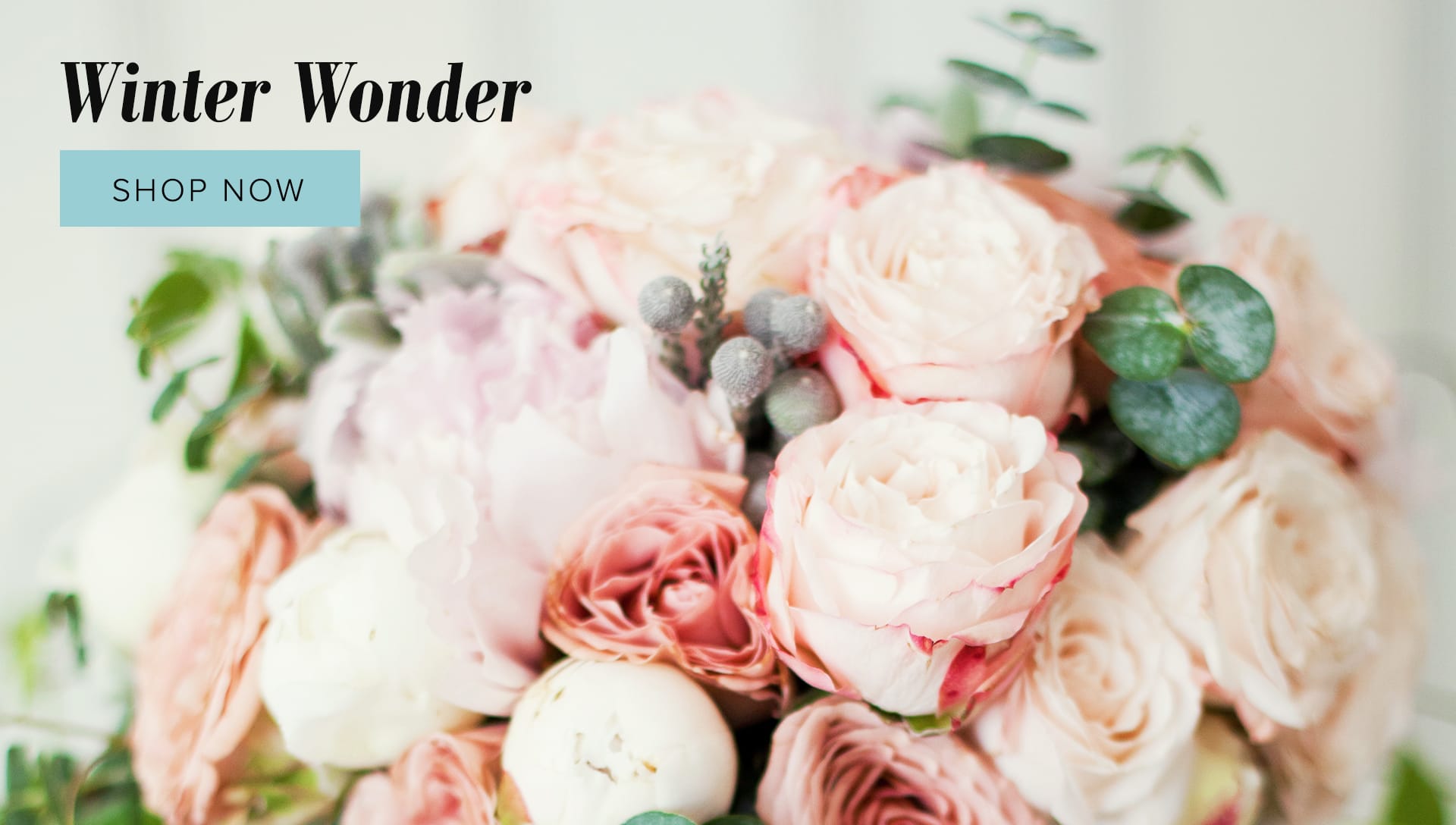 Narberth Florist Flower Delivery by Amaranth Florist