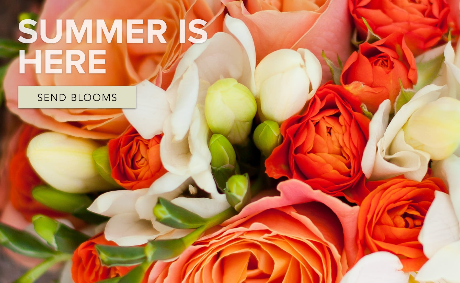 Gainesville Florist Flower Delivery by The Plant Shoppe Florist