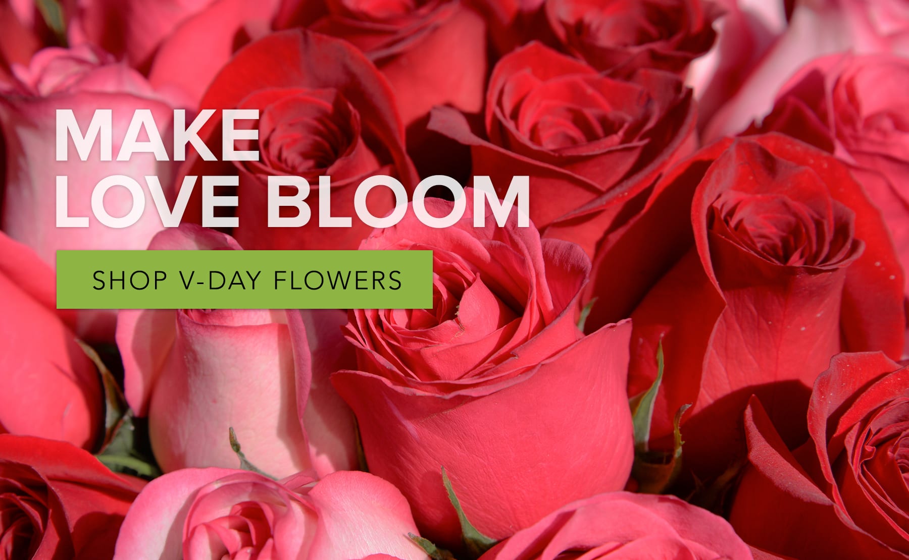 Rockford Florist Flower Delivery by Rockford Flower Shop