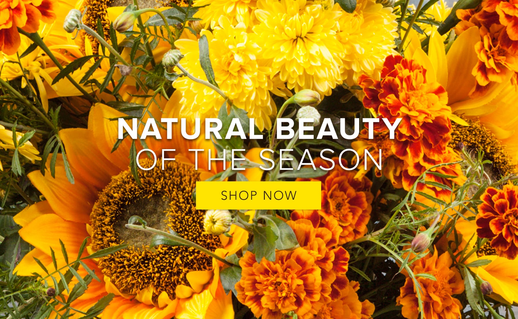 Olive Branch Florist Flower Delivery by The Yellow Rose Florist LLC