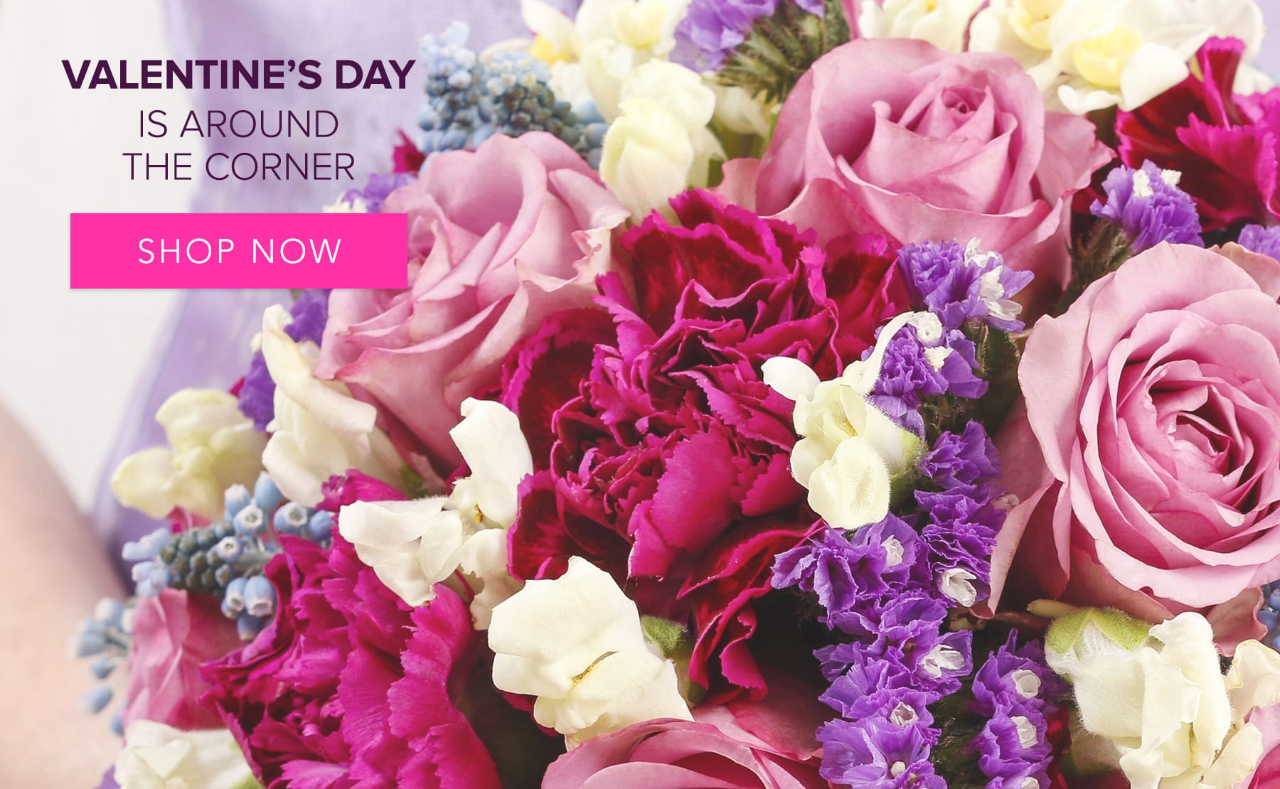 Gainesville Florist Flower Delivery by The Plant Shoppe Florist