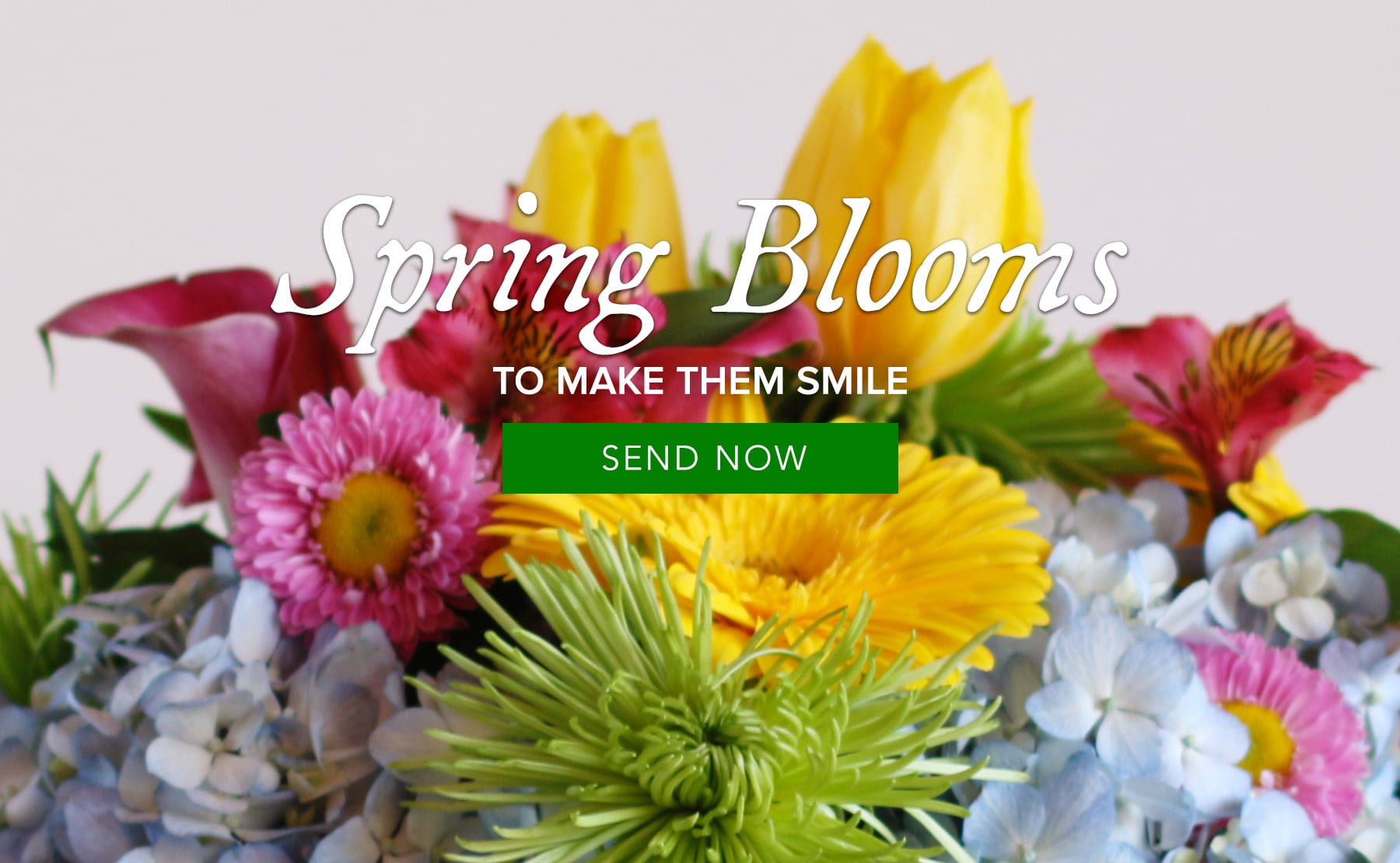 Yuma Florist Flower Delivery by All Seasons Florist