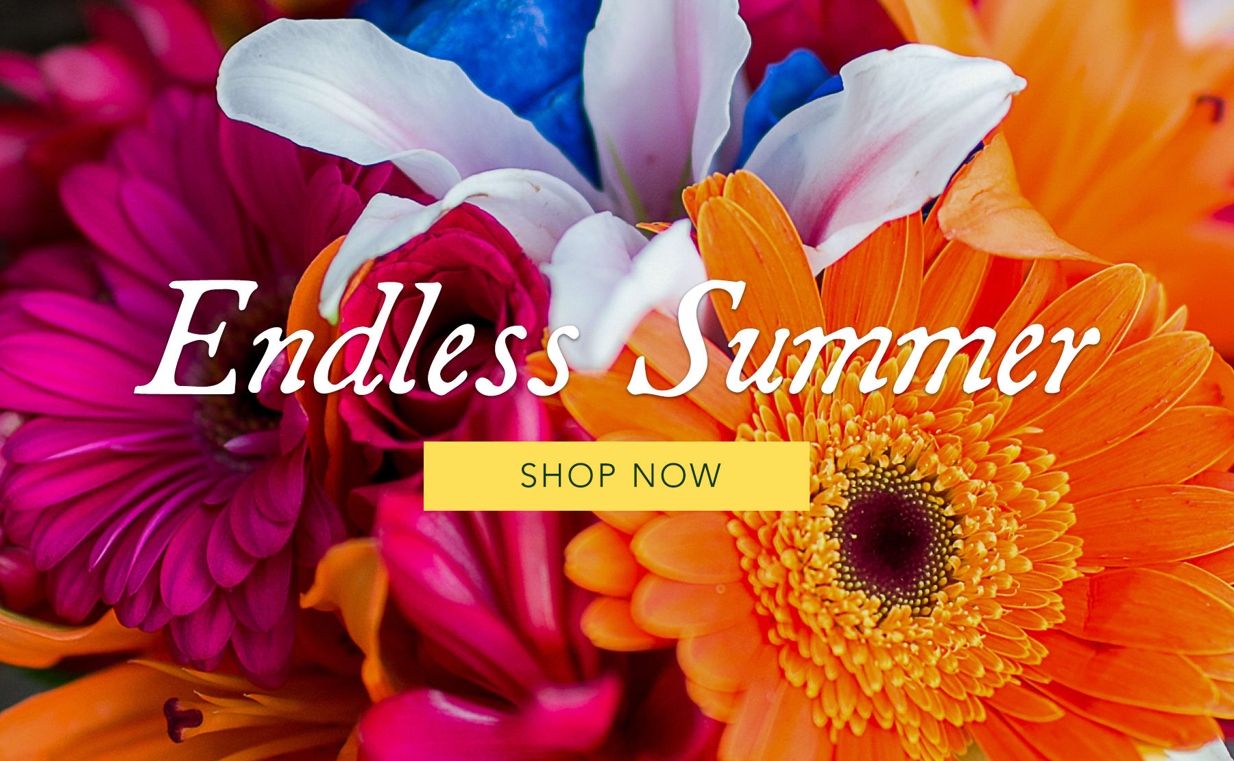 Corpus Christi Florist Flower Delivery by Andrews Flowers