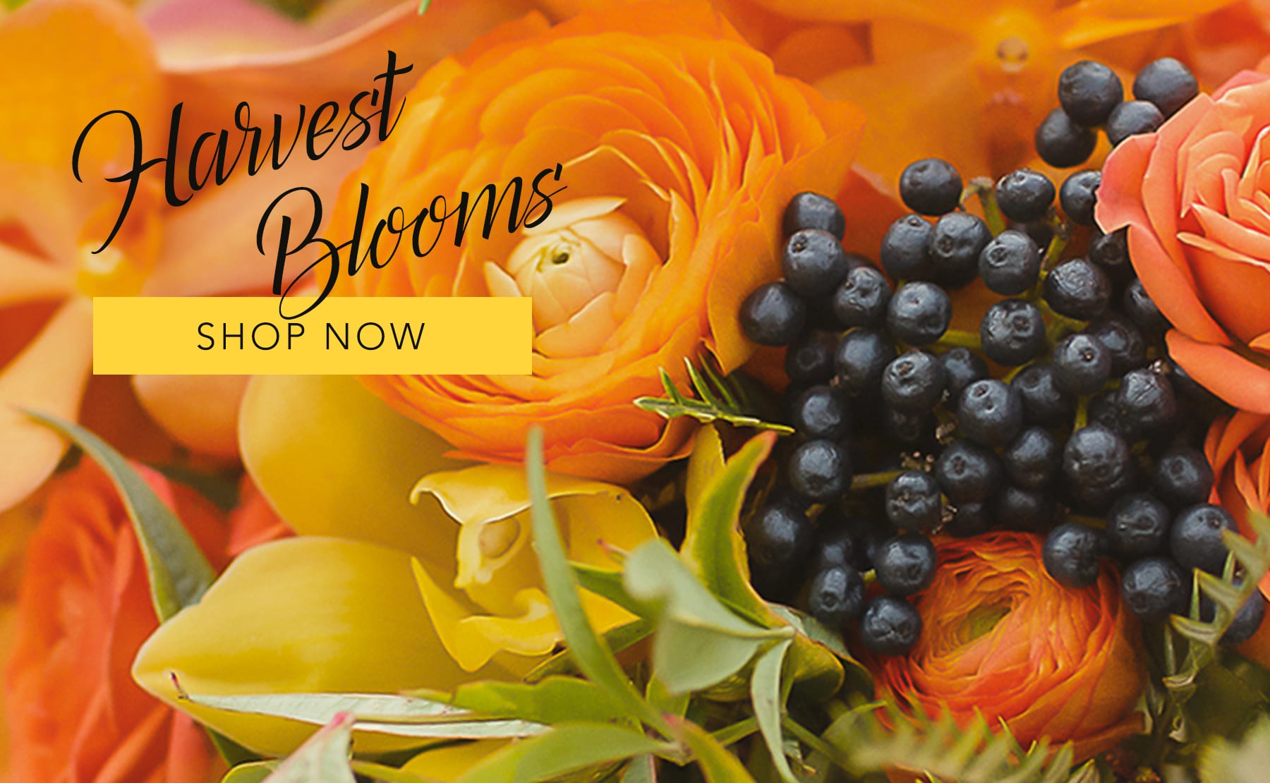 New York Florist Flower Delivery by Gotham Florist
