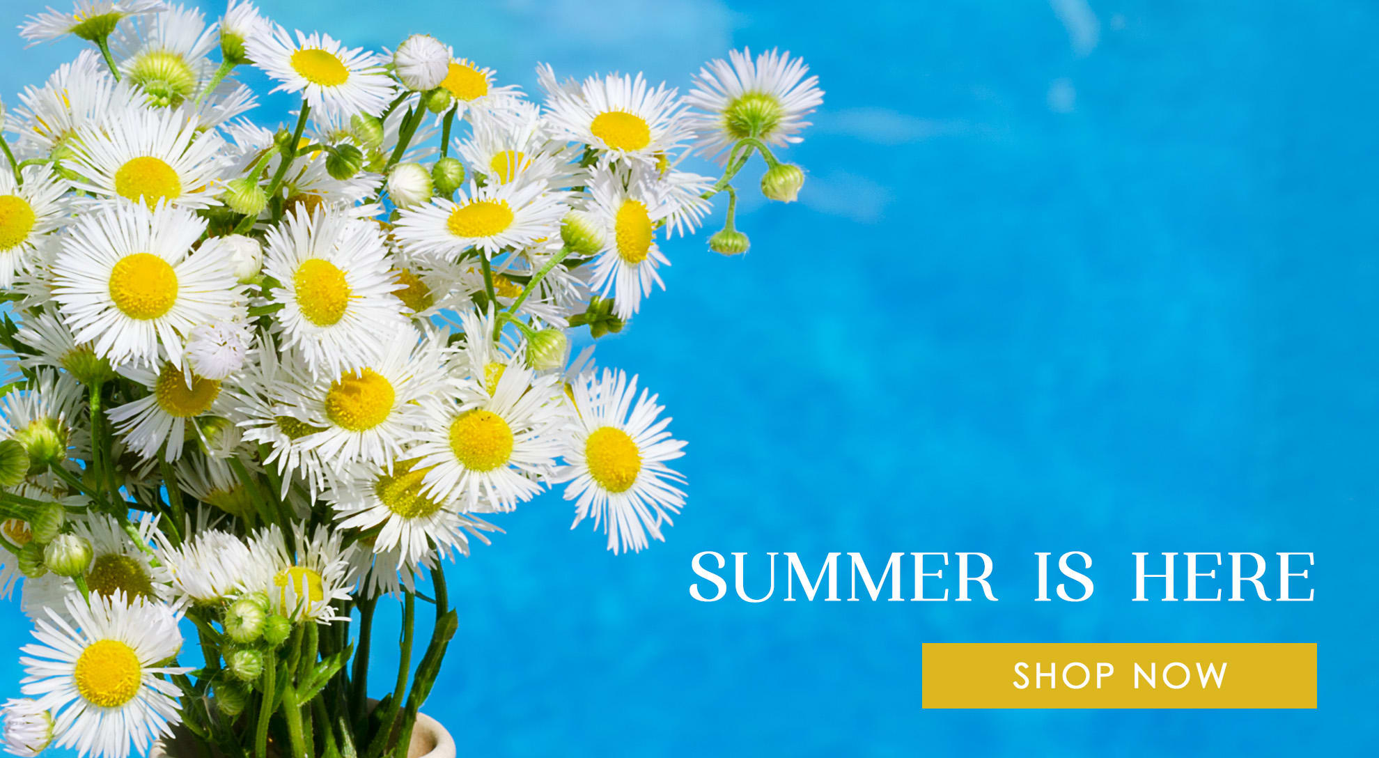 Woburn Florist Flower Delivery by Hillside Florist