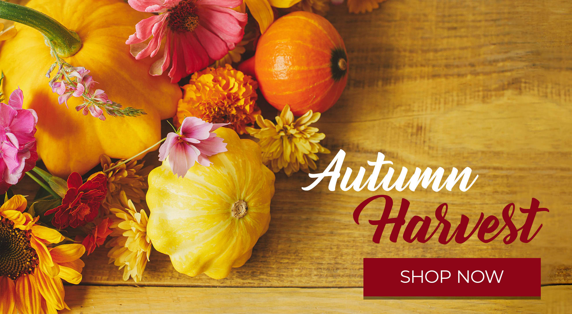 Alexandria Florist Flower Delivery by The Virginia Florist