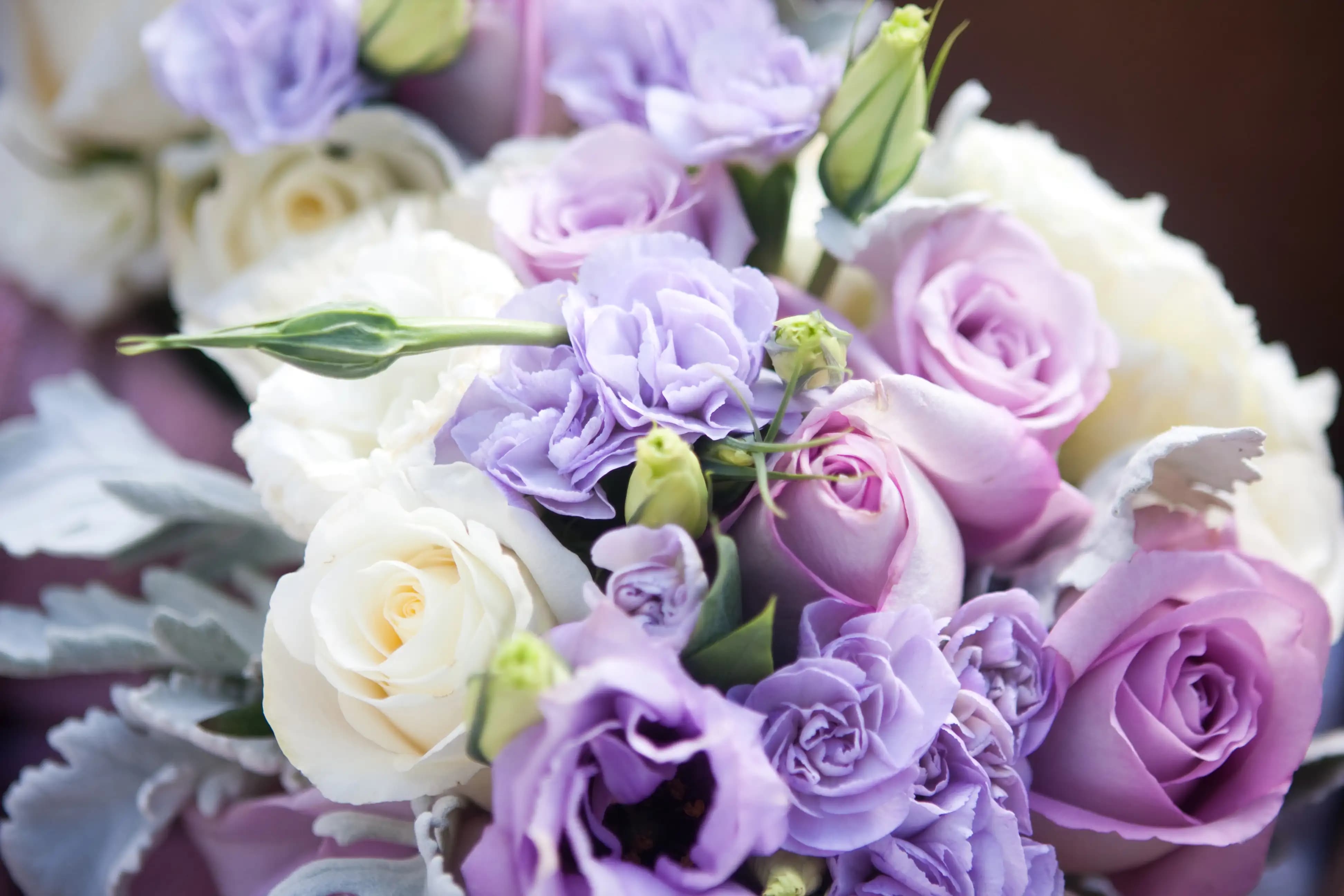 Just Because flowers
