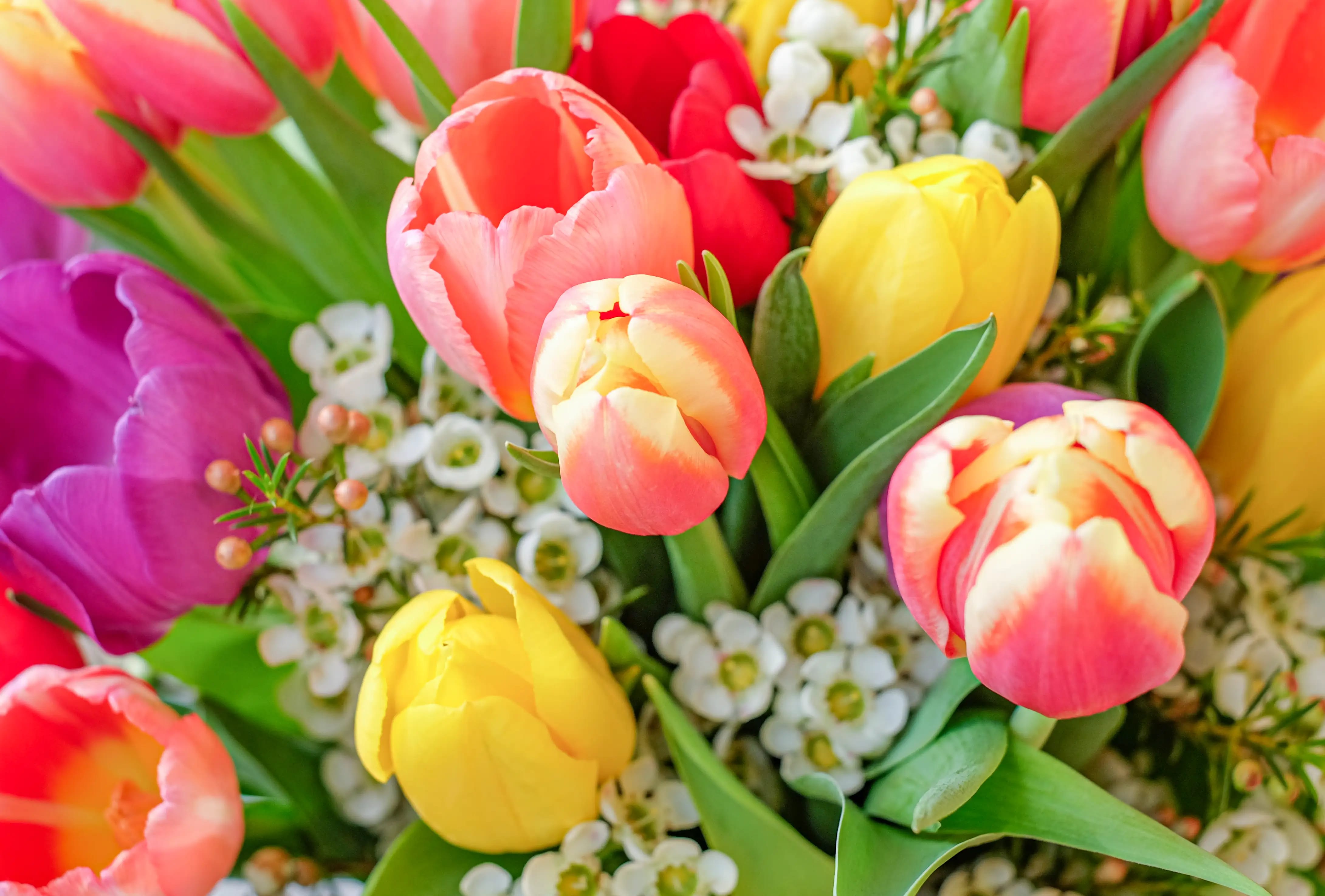 Get Well flowers