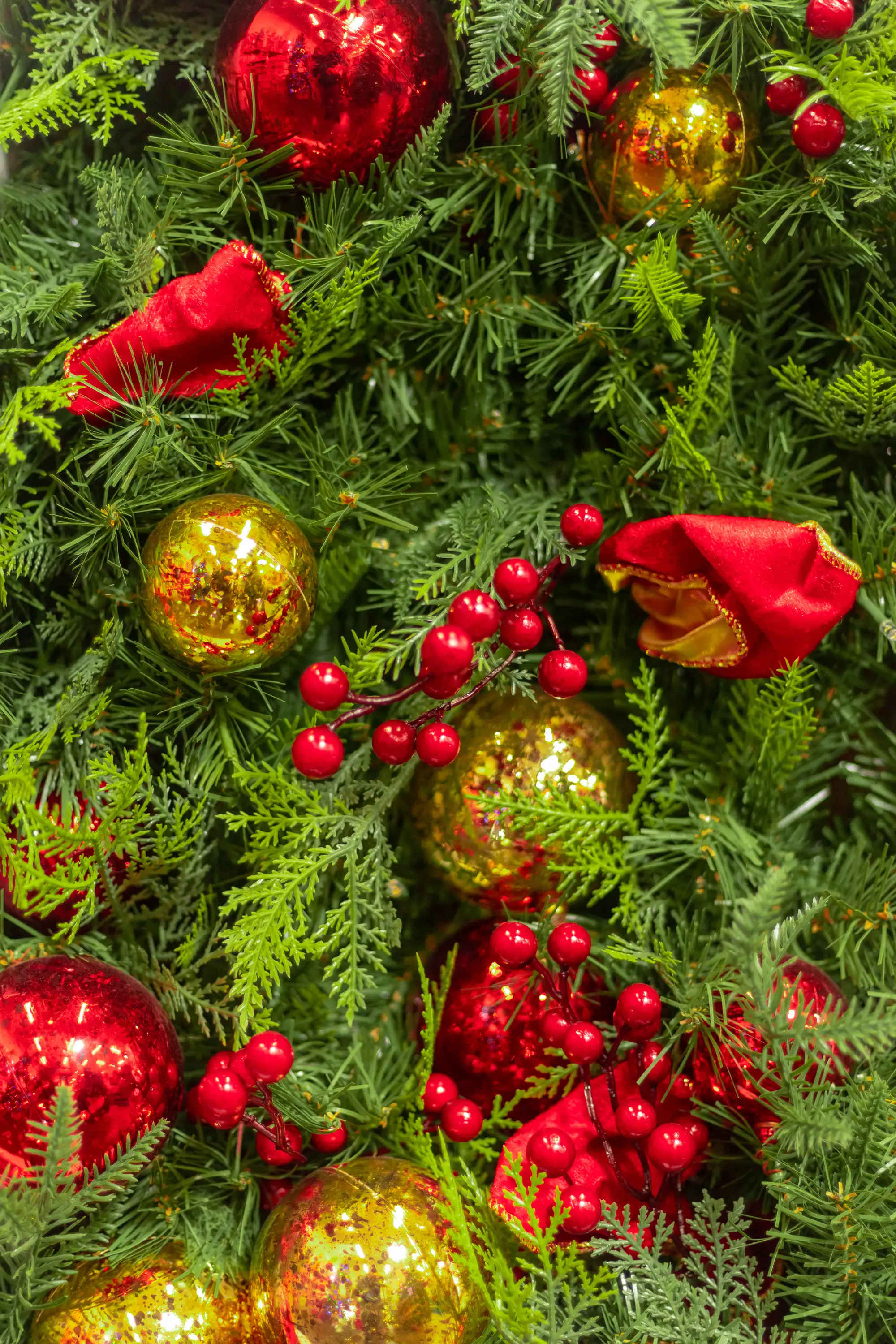 Christmas flowers