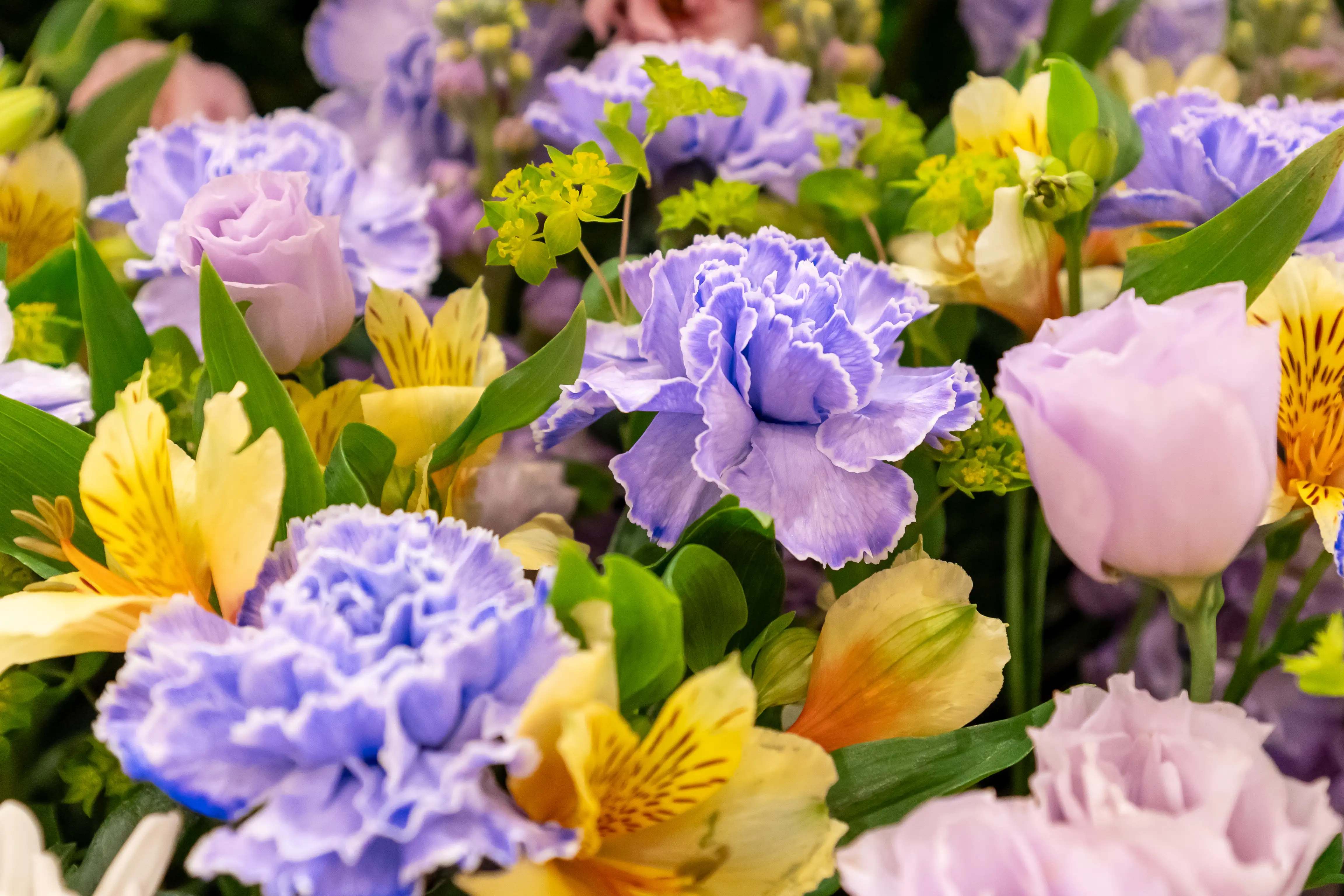 Congratulations flowers
