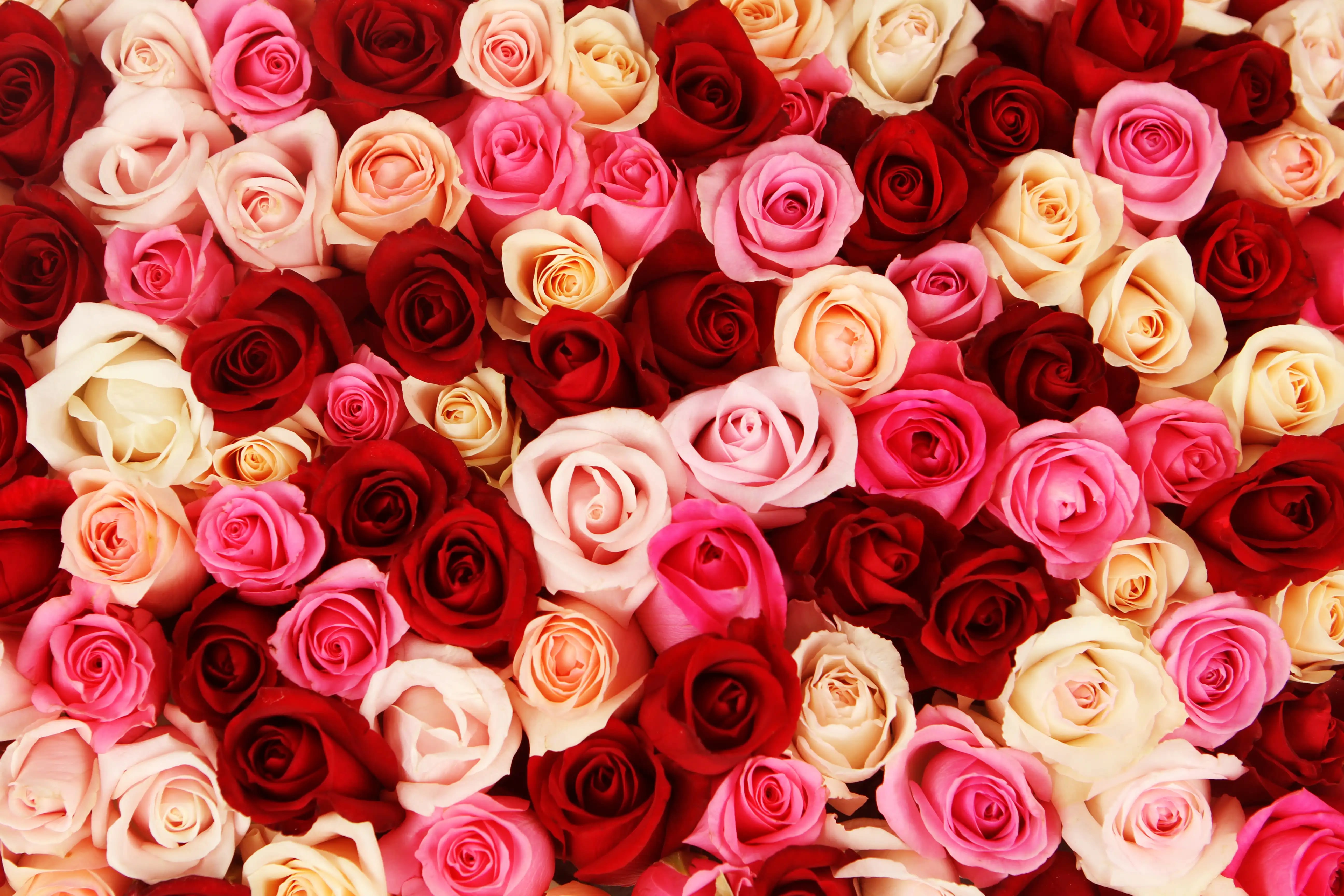 Anniversary flowers