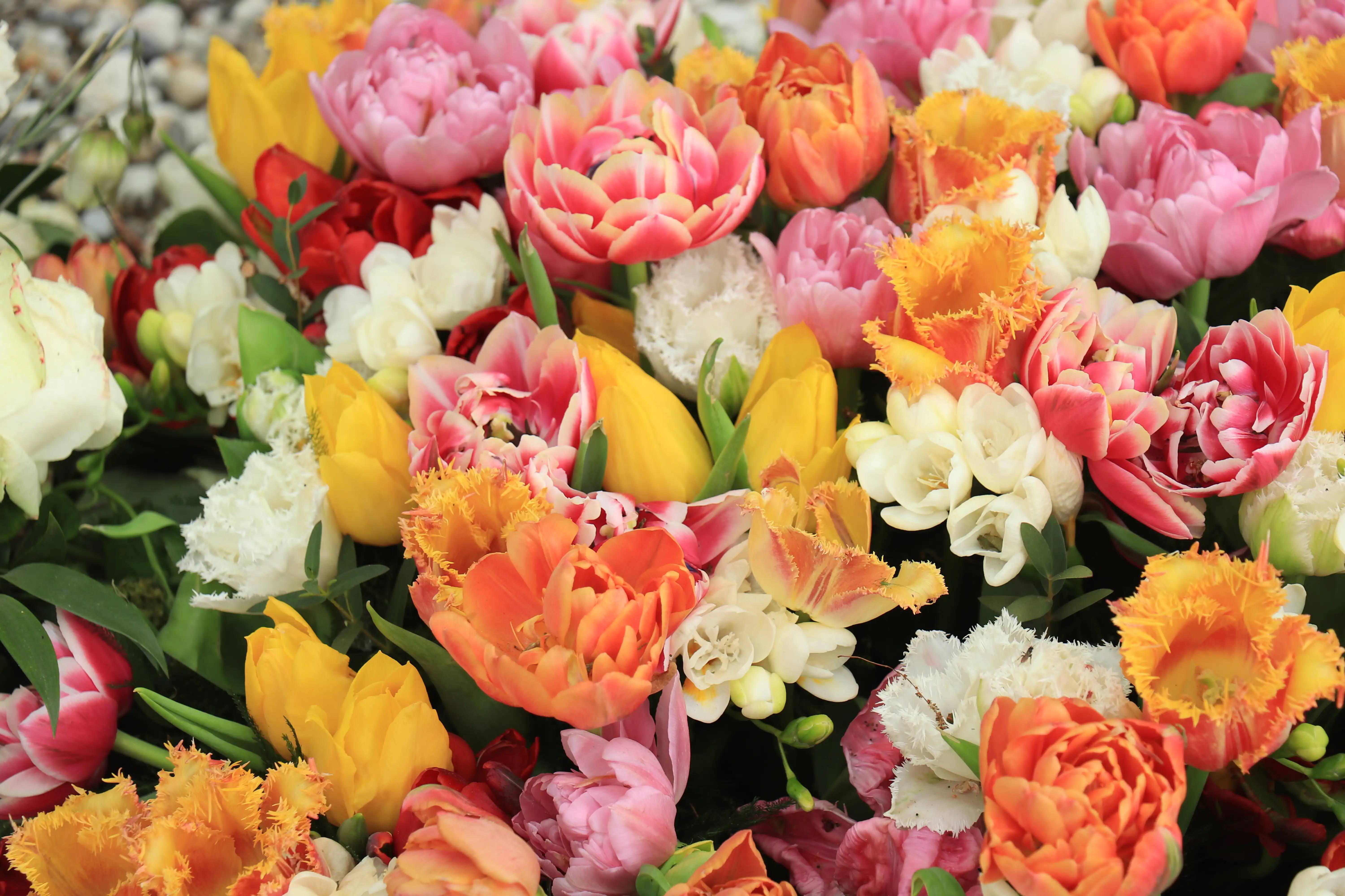 Thank You flowers